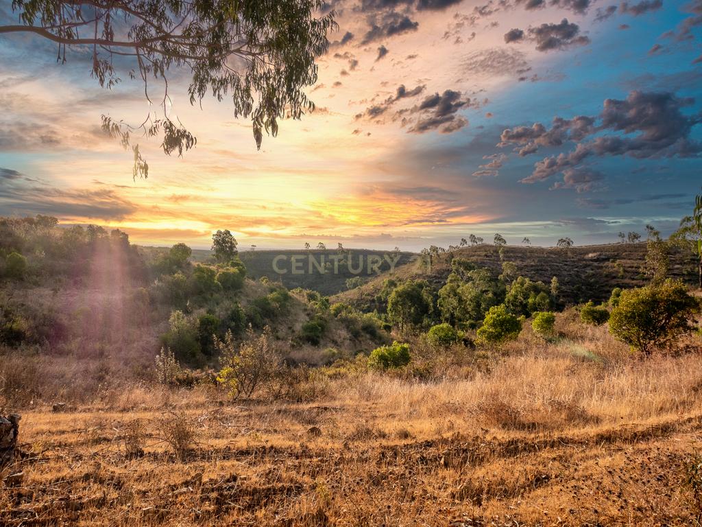 Herdade de 271 Hectares no Barlavento Algarvio, com moradia + 4 estudios, piscina, 9 barragens, 3 estufas. - Image 69