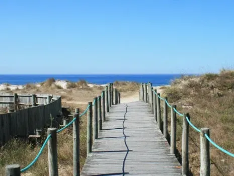 Terreno para Construção a 800m da praia - Marinhas, em Esposende - Braga - Image 9