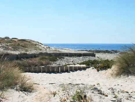 Terreno para Construção a 800m da praia - Marinhas, em Esposende - Braga - Image 11