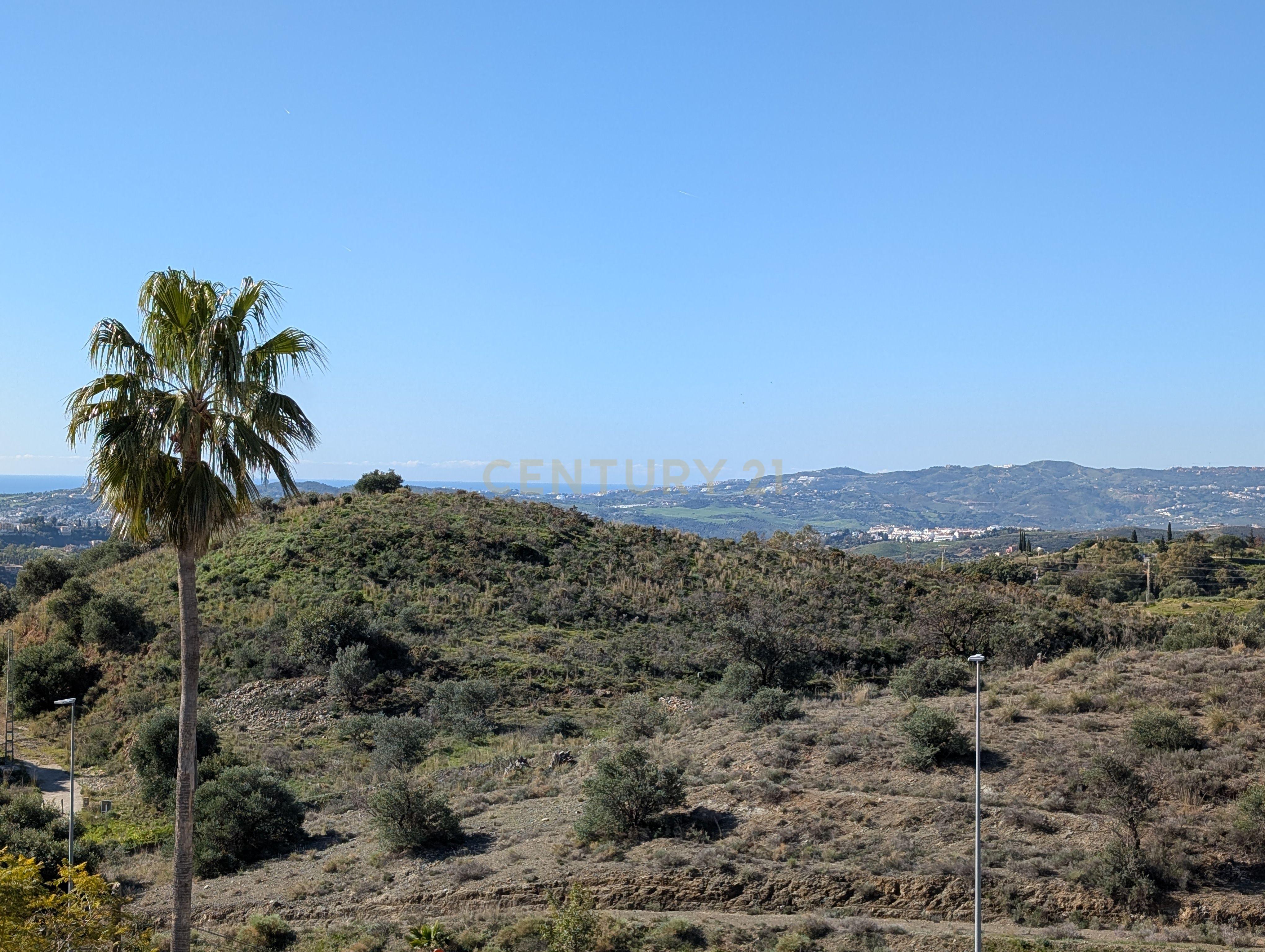 undefined - Image 6