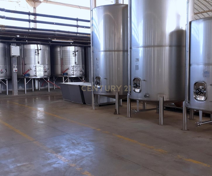 Herdades com produção Vinho, com 157,3ha situada em Terrugem, concelho de Elvas - Image 25