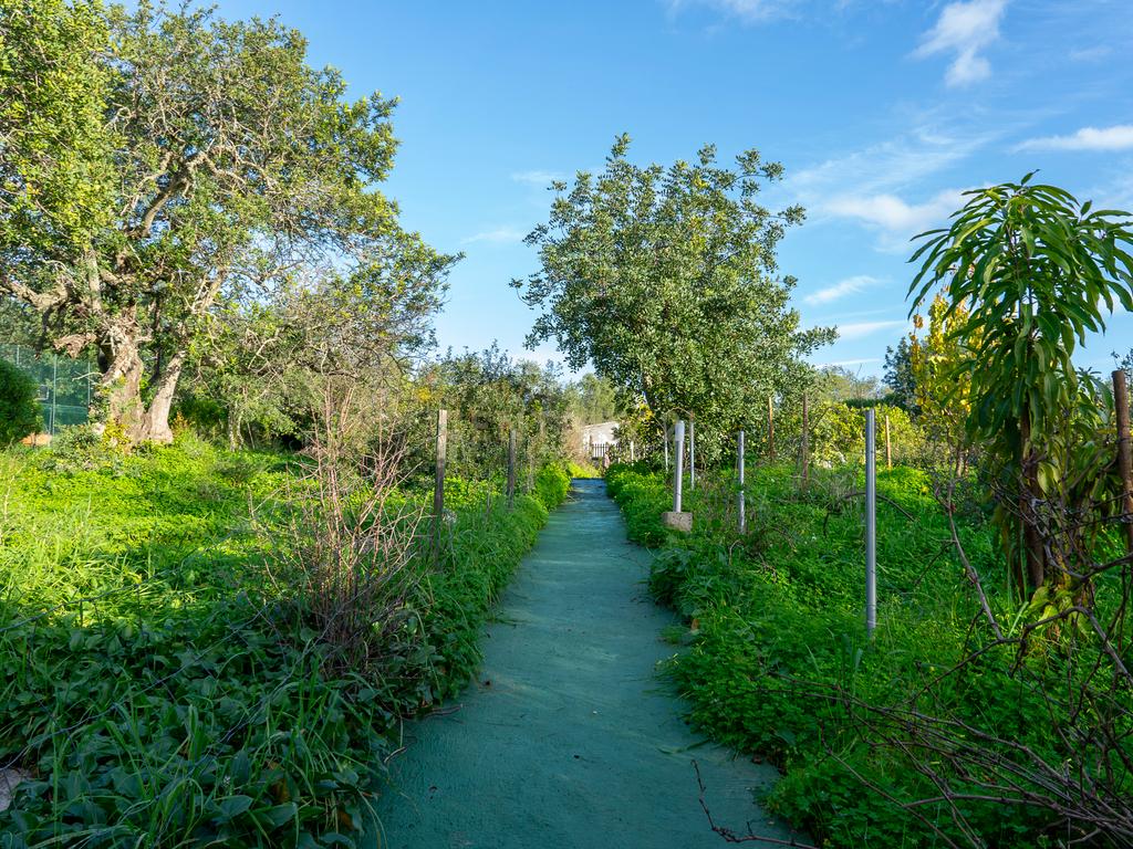 Quinta dos Netos em Santa Catarina da Fonte do Bispo - Image 47