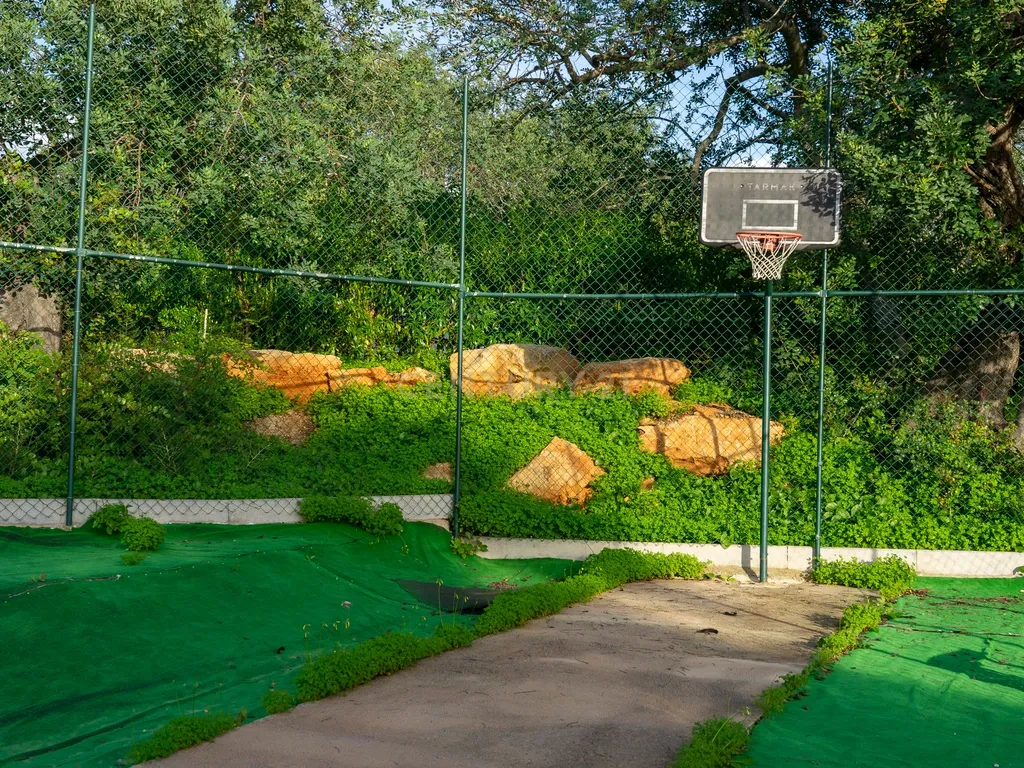 Quinta dos Netos em Santa Catarina da Fonte do Bispo - Image 12