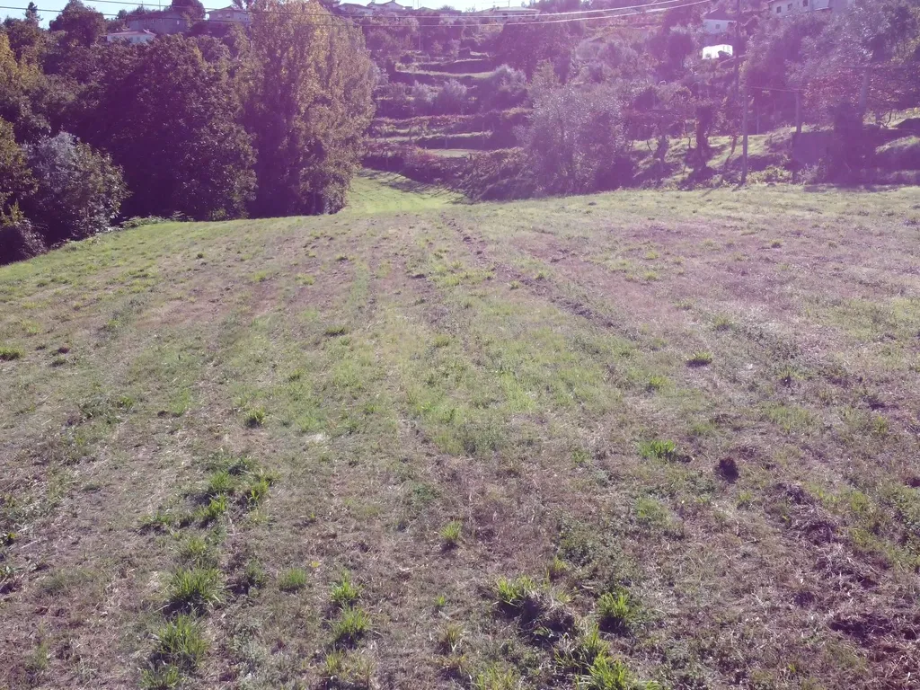 Quinta em Arouca - Image 16