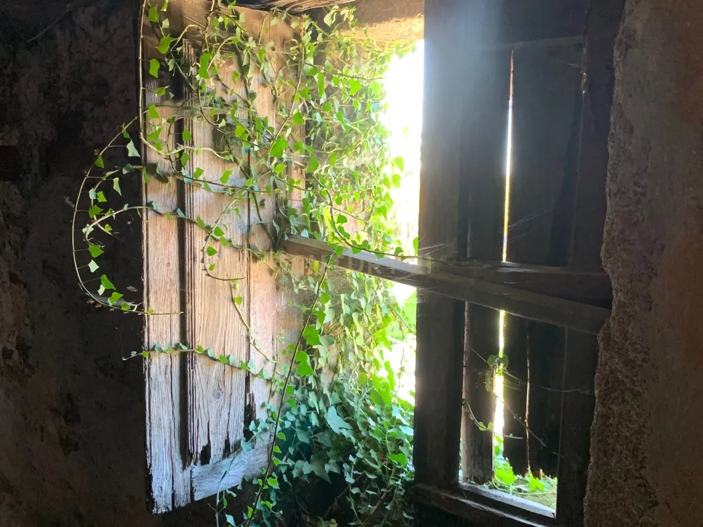 Quinta em Arouca - Image 14