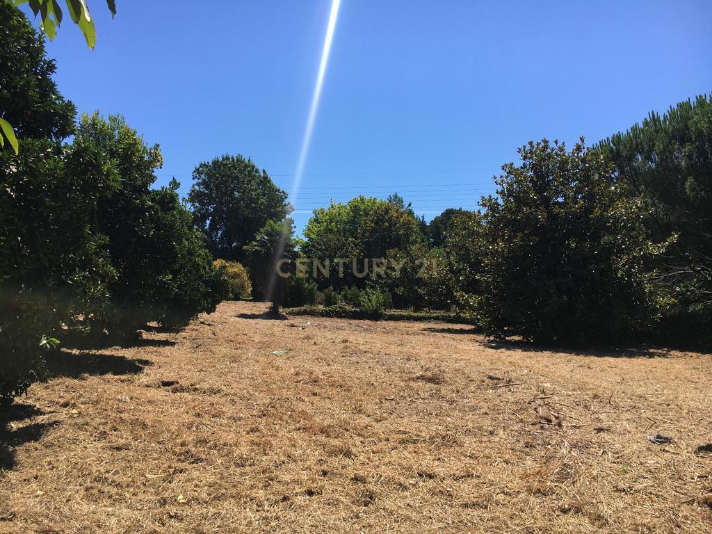 Vende-se Terreno para Moradias – Vila de Cucujães - Image 1