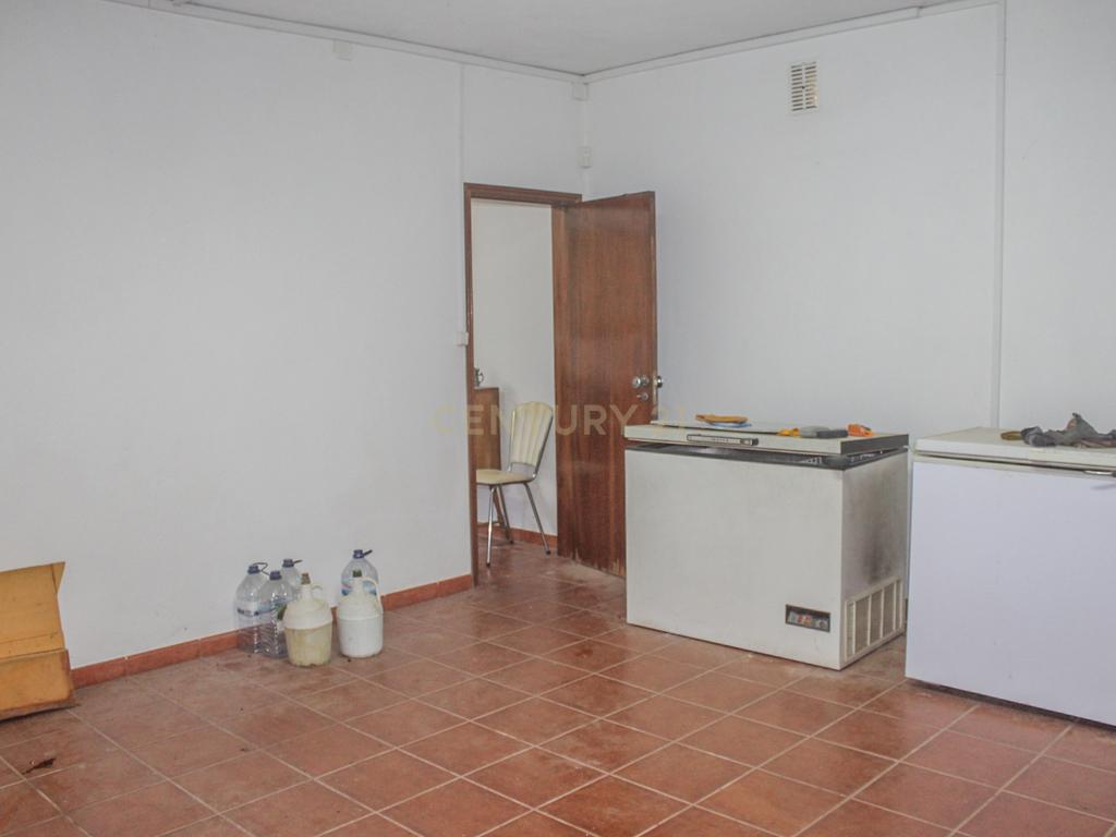Quinta em Lirião, a 3 km de Castelo Branco junto ao Parque de Campismo - Image 10