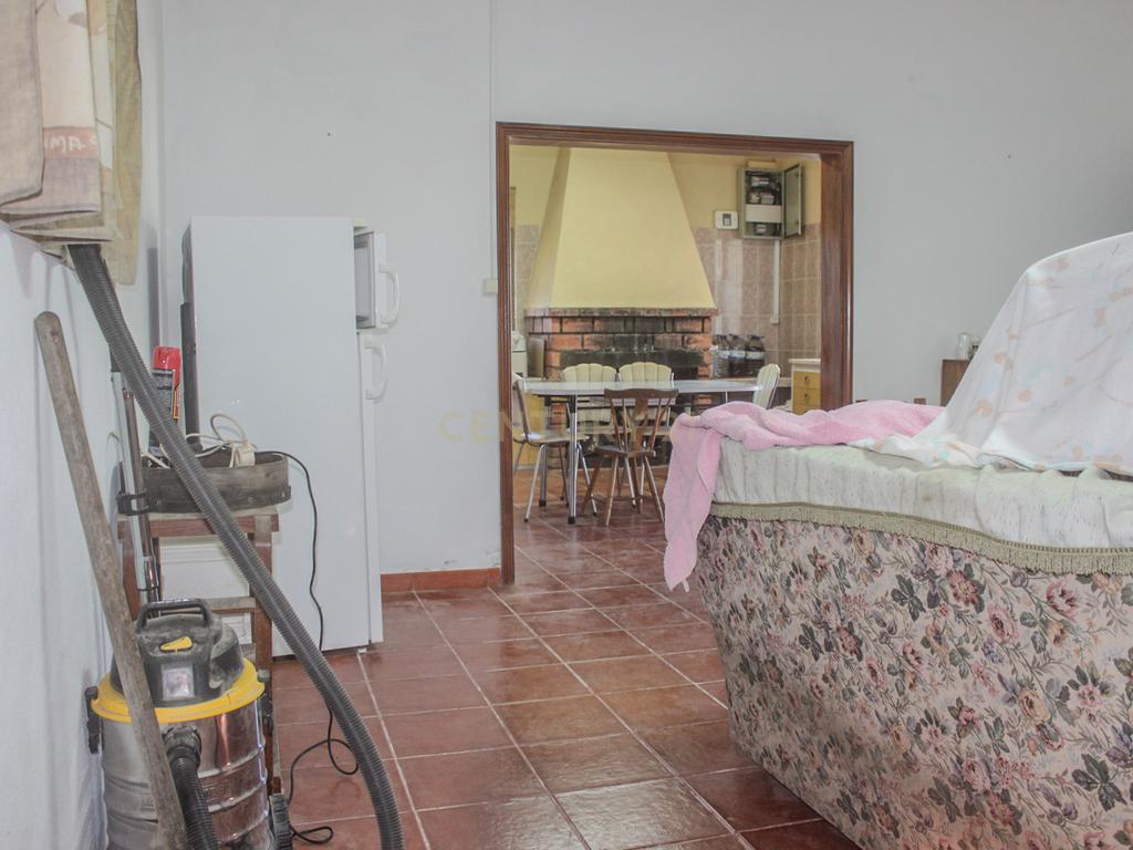 Quinta em Lirião, a 3 km de Castelo Branco junto ao Parque de Campismo - Image 9