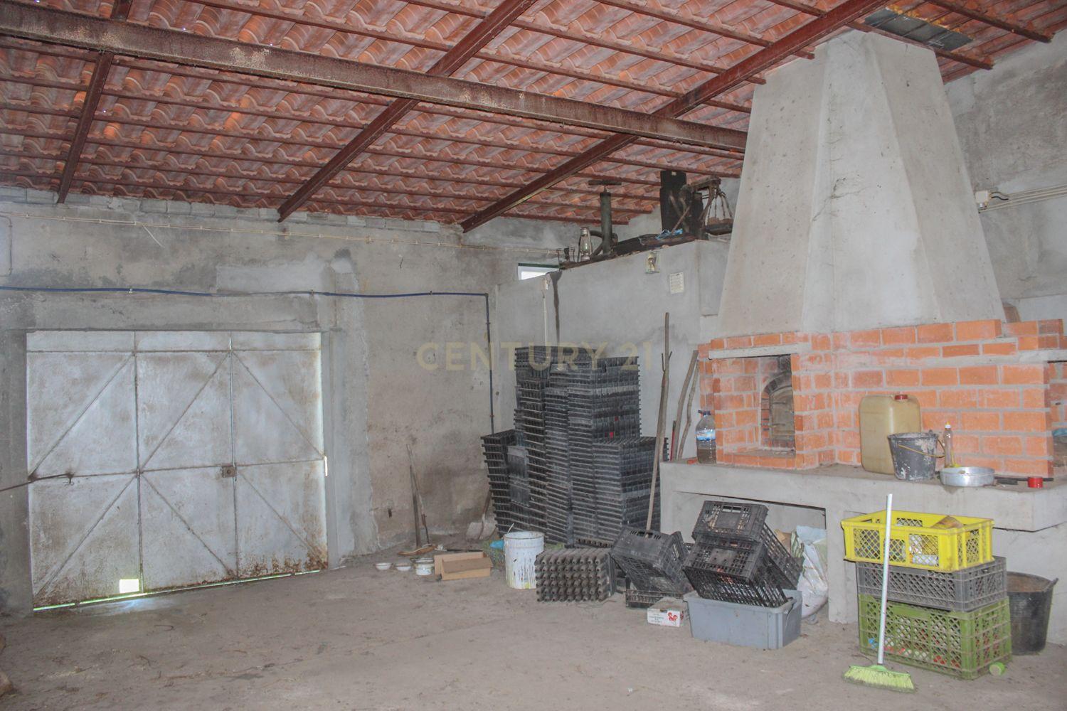 Quinta em Lirião, a 3 km de Castelo Branco junto ao Parque de Campismo - Image 14