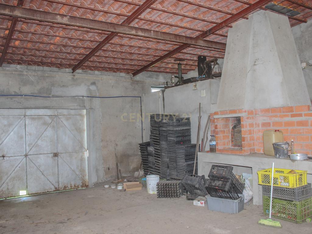 Quinta em Lirião, a 3 km de Castelo Branco junto ao Parque de Campismo - Image 14