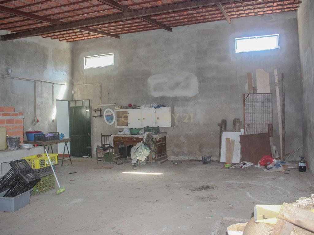 Quinta em Lirião, a 3 km de Castelo Branco junto ao Parque de Campismo - Image 15