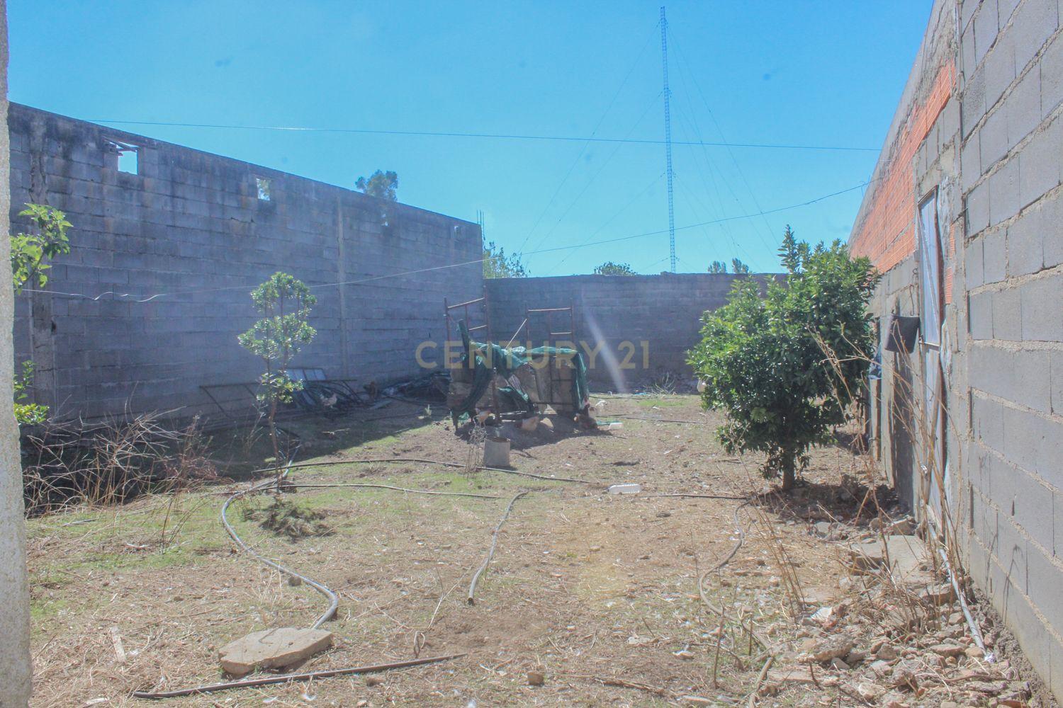 Quinta em Lirião, a 3 km de Castelo Branco junto ao Parque de Campismo - Image 18