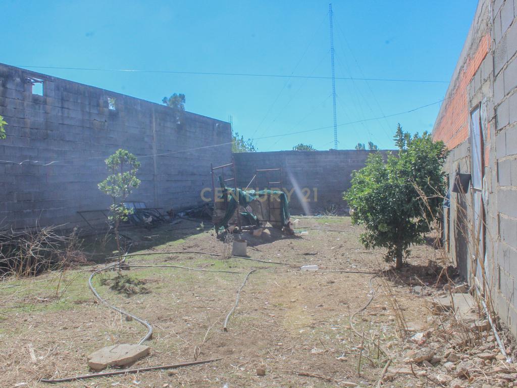 Quinta em Lirião, a 3 km de Castelo Branco junto ao Parque de Campismo - Image 18
