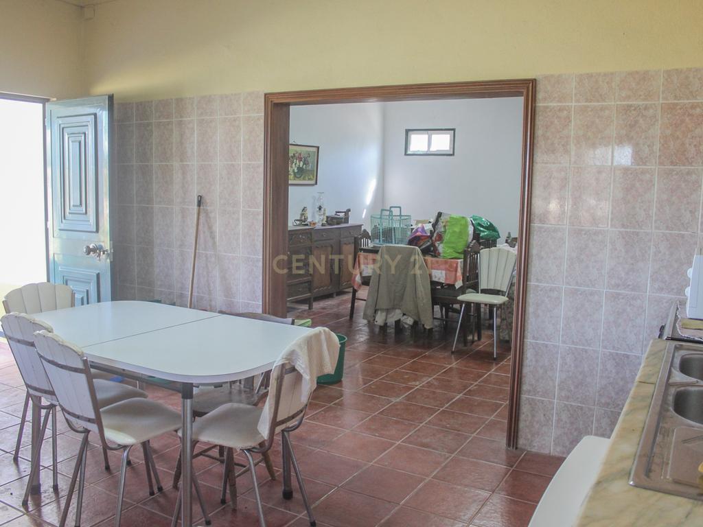Quinta em Lirião, a 3 km de Castelo Branco junto ao Parque de Campismo - Image 6