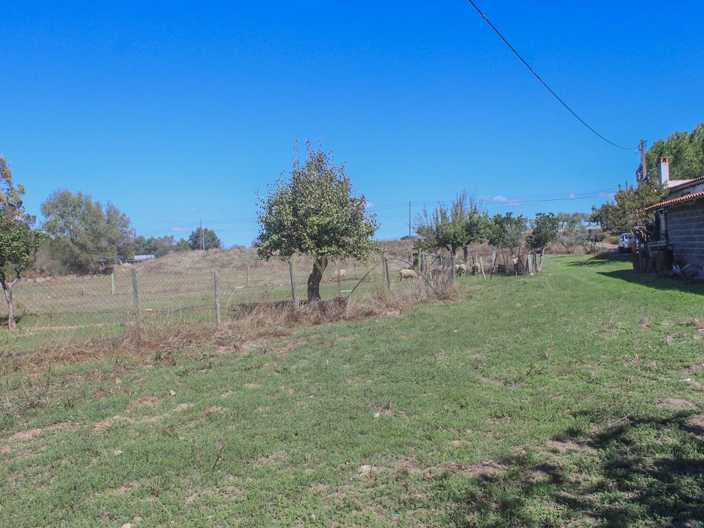 Quinta em Lirião, a 3 km de Castelo Branco junto ao Parque de Campismo - Image 24