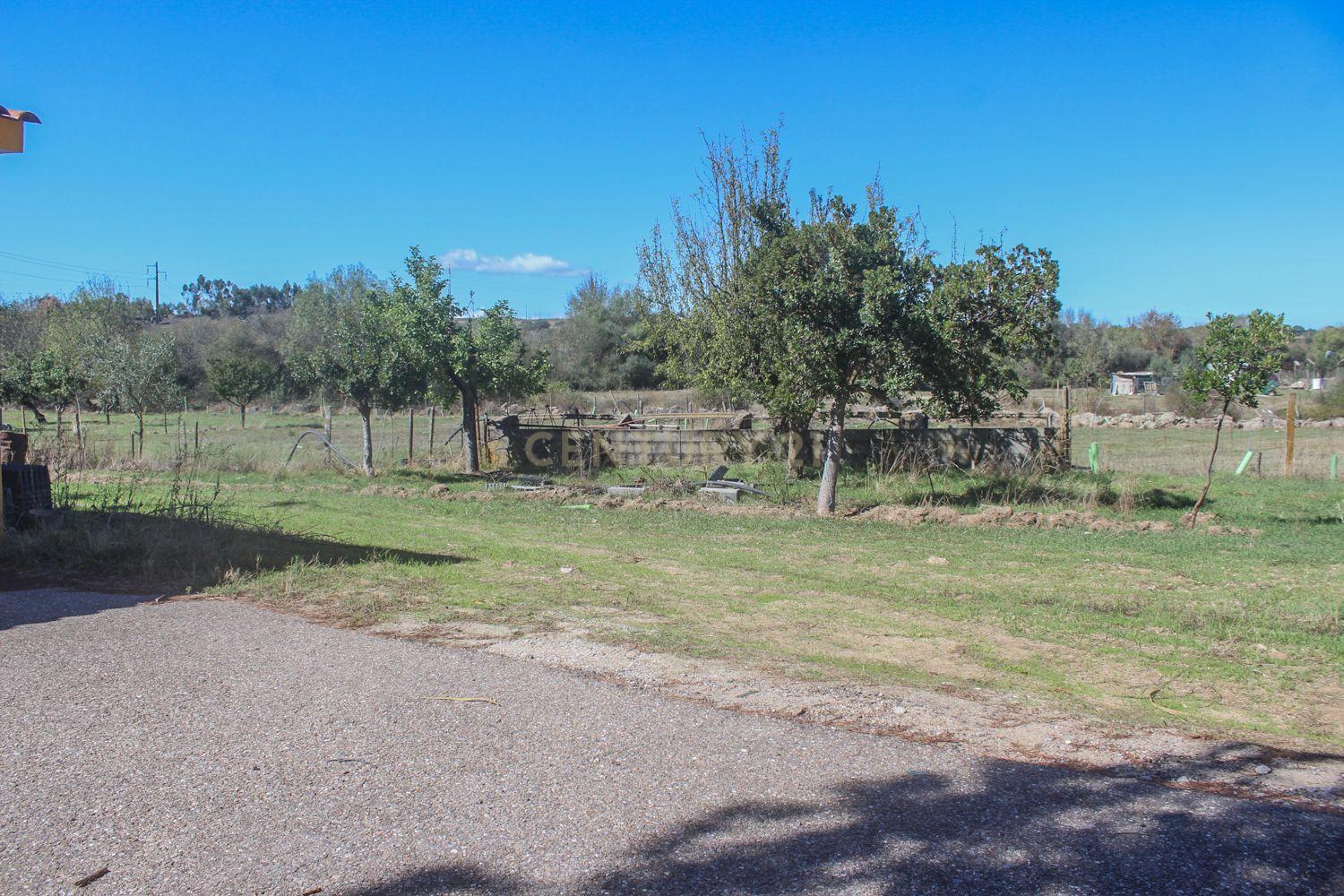 Quinta em Lirião, a 3 km de Castelo Branco junto ao Parque de Campismo - Image 20