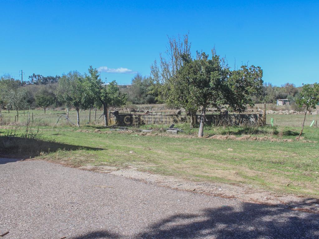 Quinta em Lirião, a 3 km de Castelo Branco junto ao Parque de Campismo - Image 20