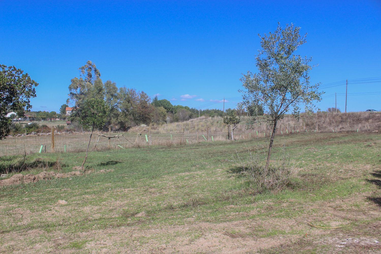 Quinta em Lirião, a 3 km de Castelo Branco junto ao Parque de Campismo - Image 21