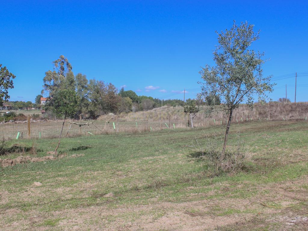 Quinta em Lirião, a 3 km de Castelo Branco junto ao Parque de Campismo - Image 21