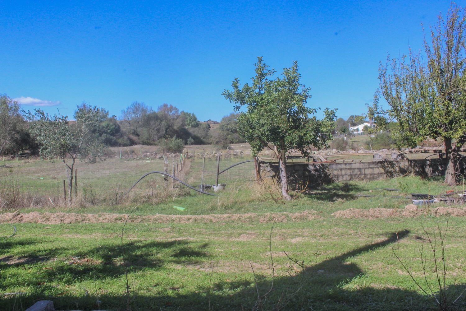 Quinta em Lirião, a 3 km de Castelo Branco junto ao Parque de Campismo - Image 22