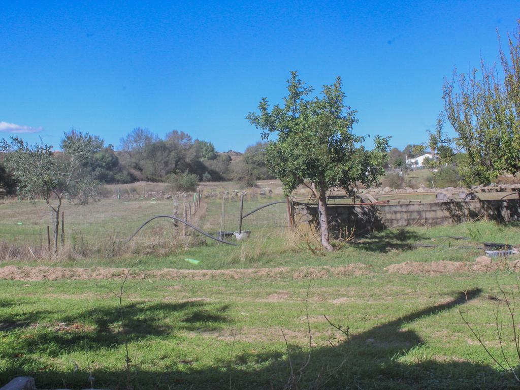 Quinta em Lirião, a 3 km de Castelo Branco junto ao Parque de Campismo - Image 22