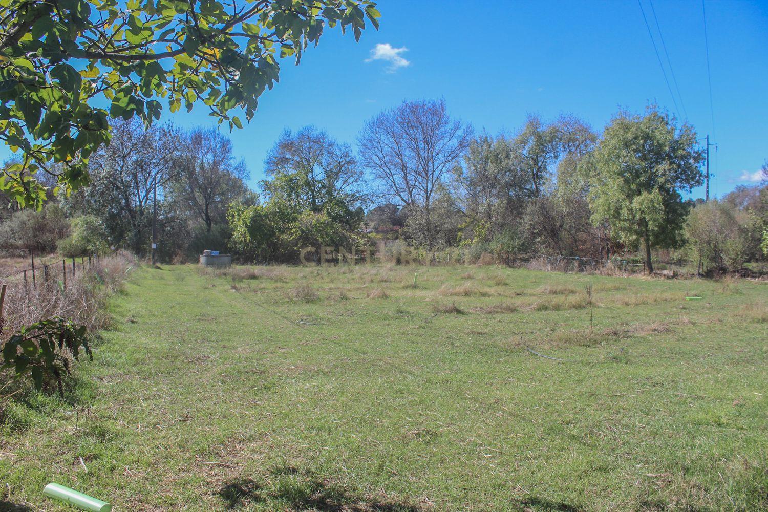 Quinta em Lirião, a 3 km de Castelo Branco junto ao Parque de Campismo - Image 23