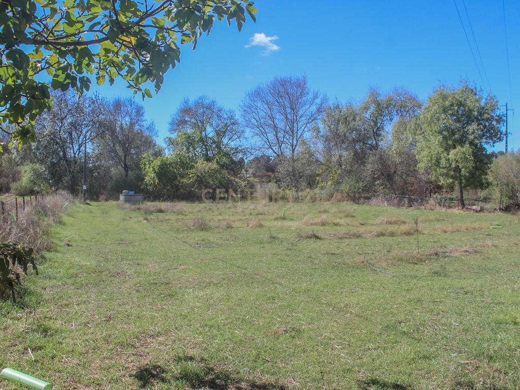 Quinta em Lirião, a 3 km de Castelo Branco junto ao Parque de Campismo - Image 23
