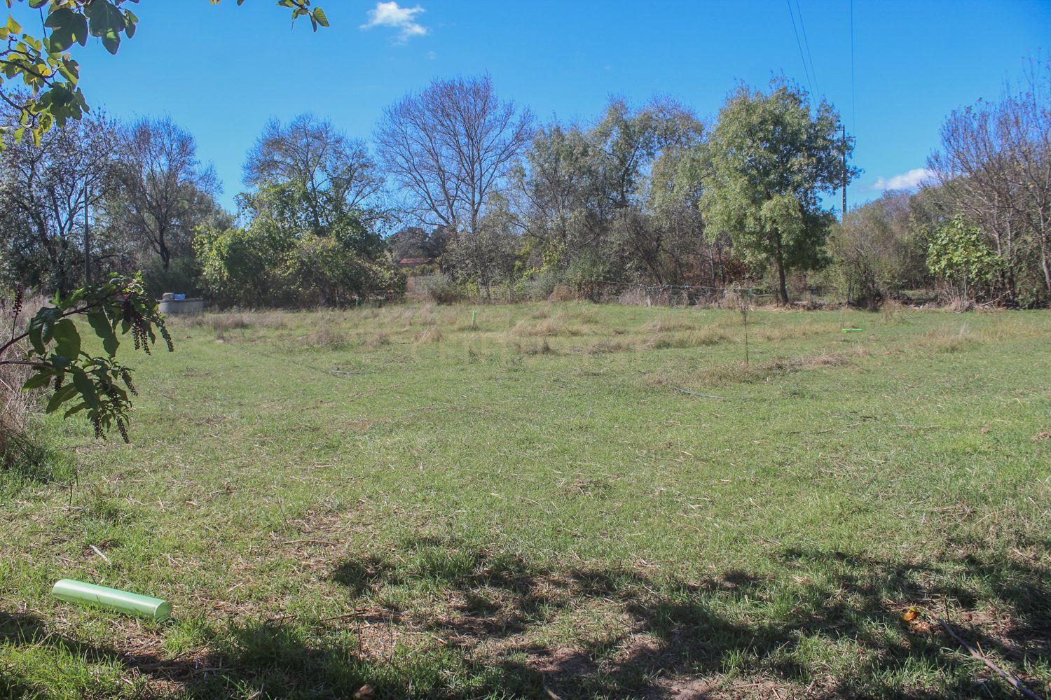 Quinta em Lirião, a 3 km de Castelo Branco junto ao Parque de Campismo - Image 25