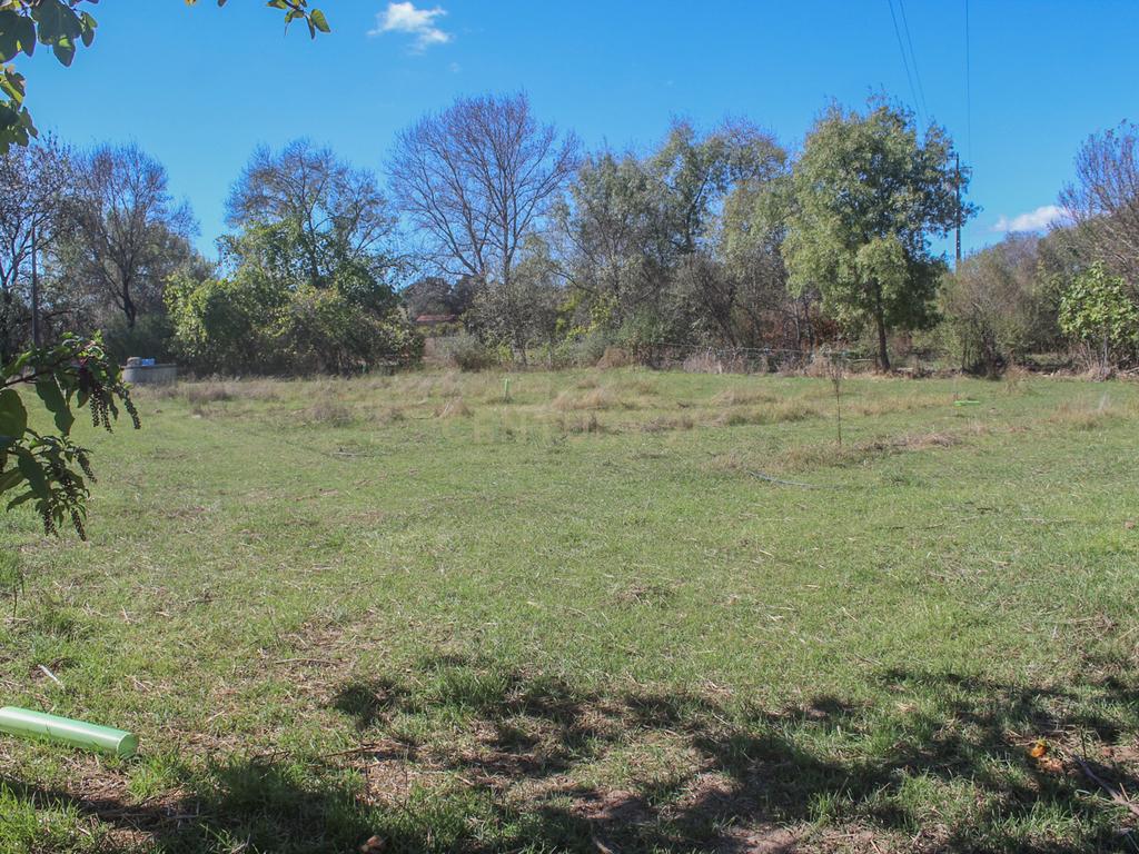 Quinta em Lirião, a 3 km de Castelo Branco junto ao Parque de Campismo - Image 25