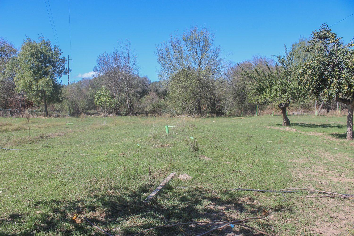 Quinta em Lirião, a 3 km de Castelo Branco junto ao Parque de Campismo - Image 19