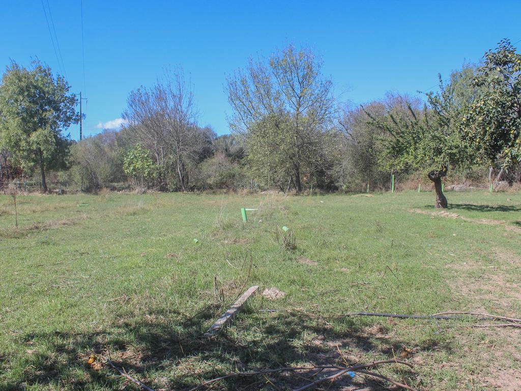 Quinta em Lirião, a 3 km de Castelo Branco junto ao Parque de Campismo - Image 19