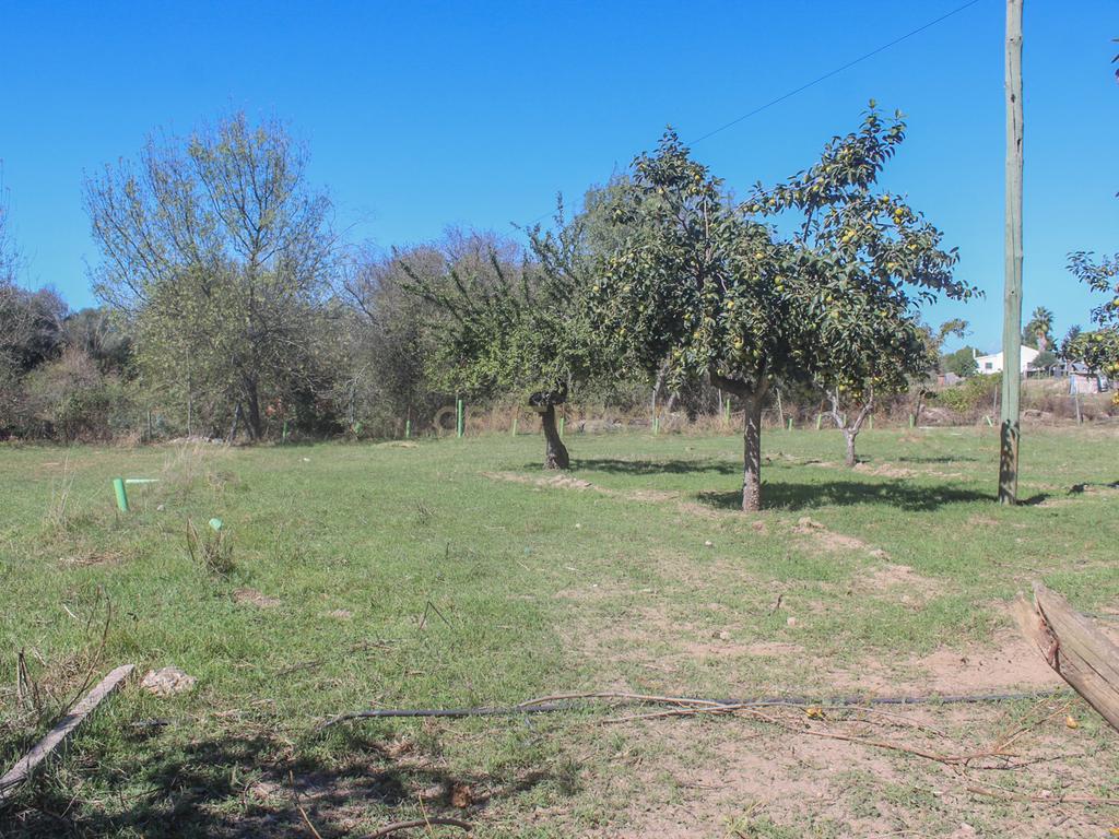 Quinta em Lirião, a 3 km de Castelo Branco junto ao Parque de Campismo - Image 1