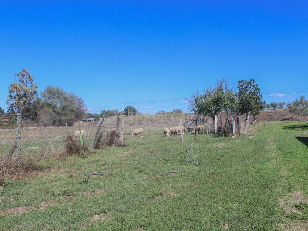 Quinta em Lirião, a 3 km de Castelo Branco junto ao Parque de Campismo - Image 26
