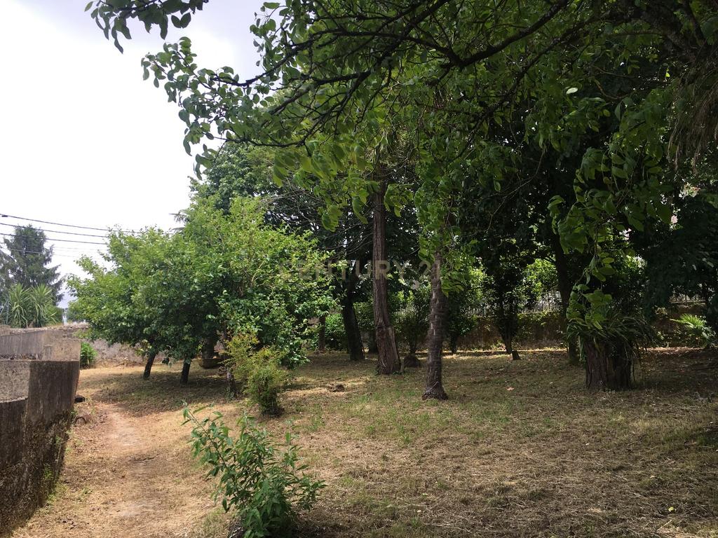 Vende-se Terreno para Moradias – Vila de Cucujães - Image 8