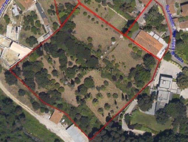 Vende-se Terreno para Moradias – Vila de Cucujães - Image 2