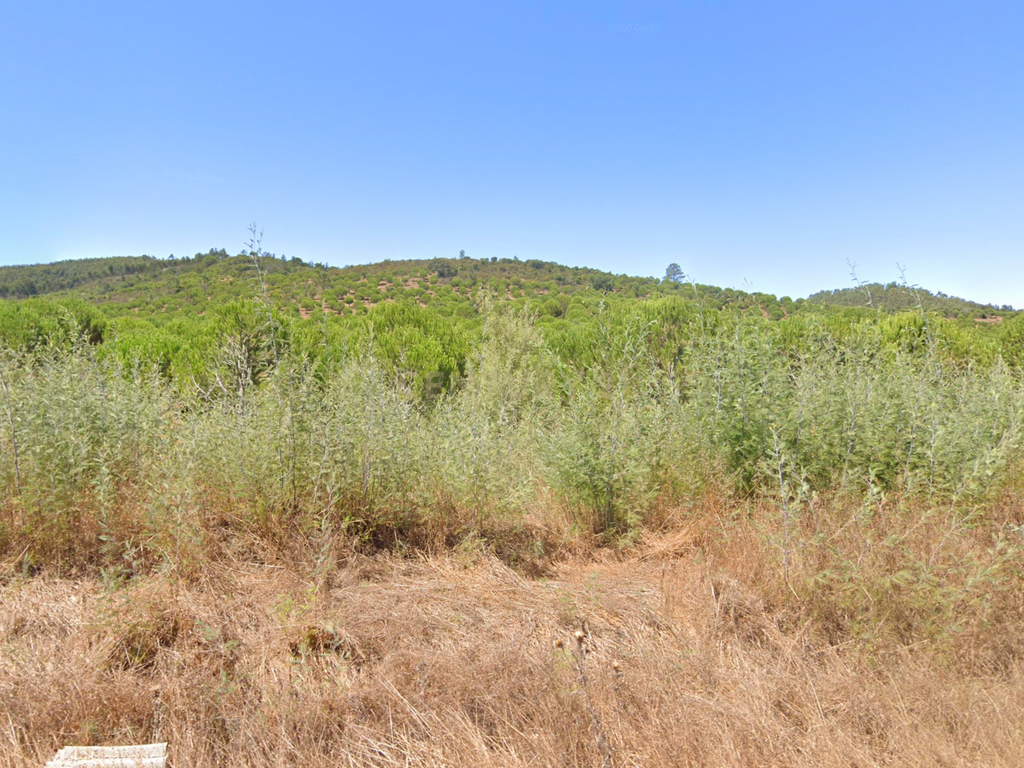 Herdade Raco-de-Baixo - Image 2