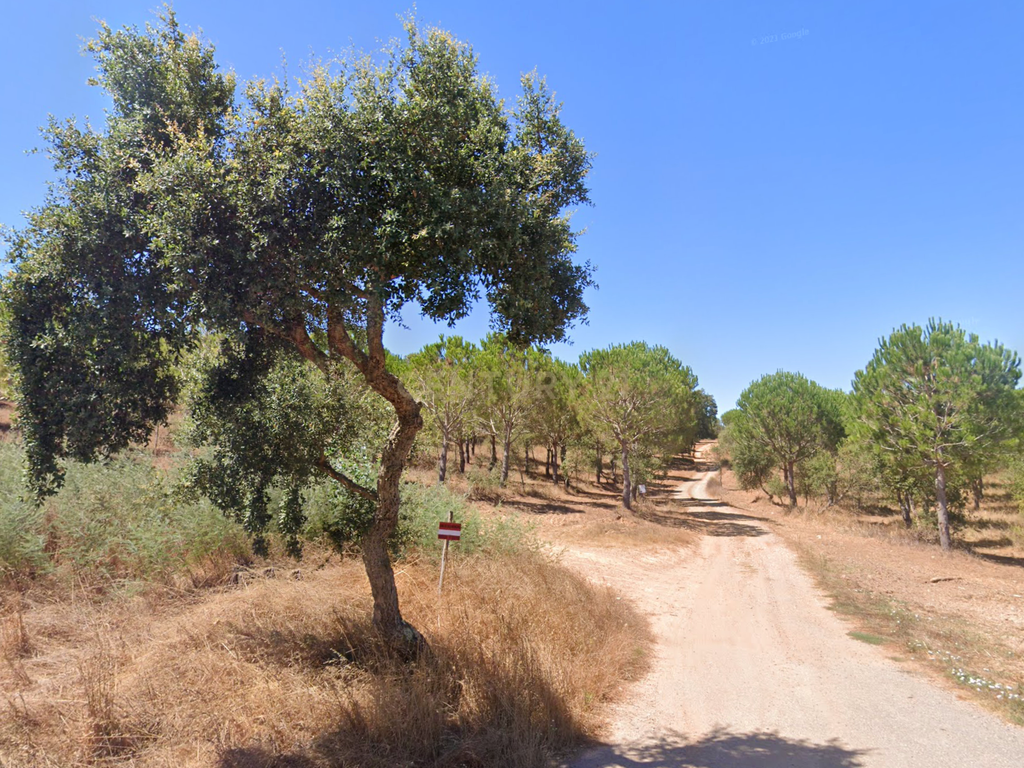 Herdade Raco-de-Baixo - Image 3