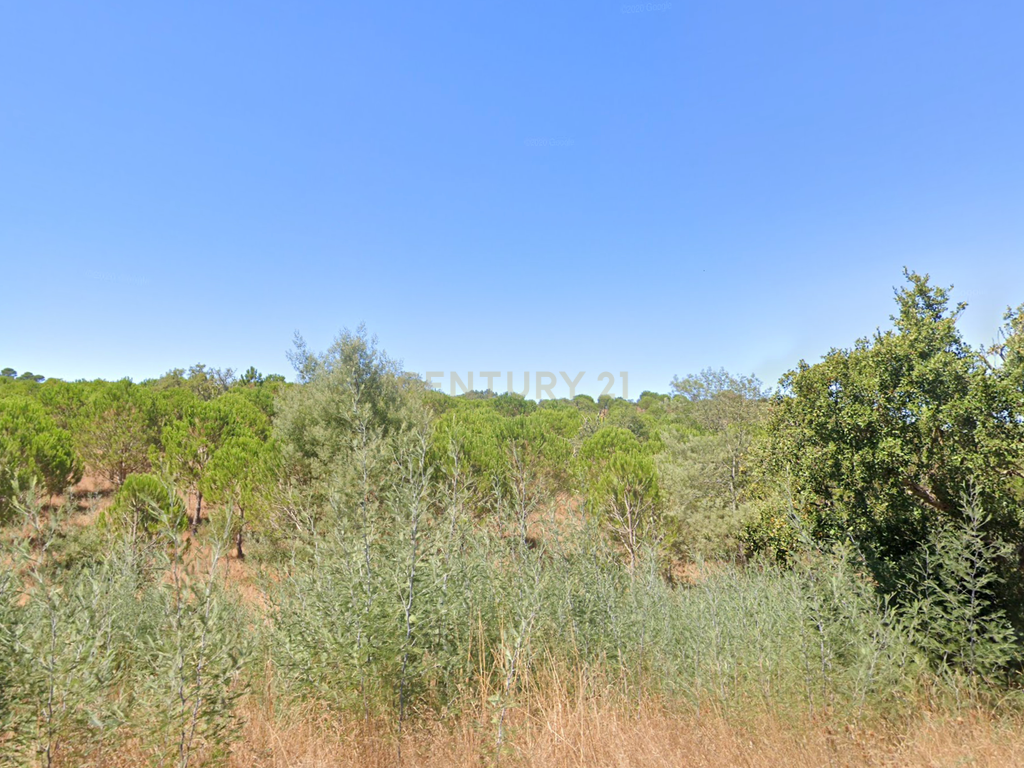 Herdade Raco-de-Baixo - Image 4