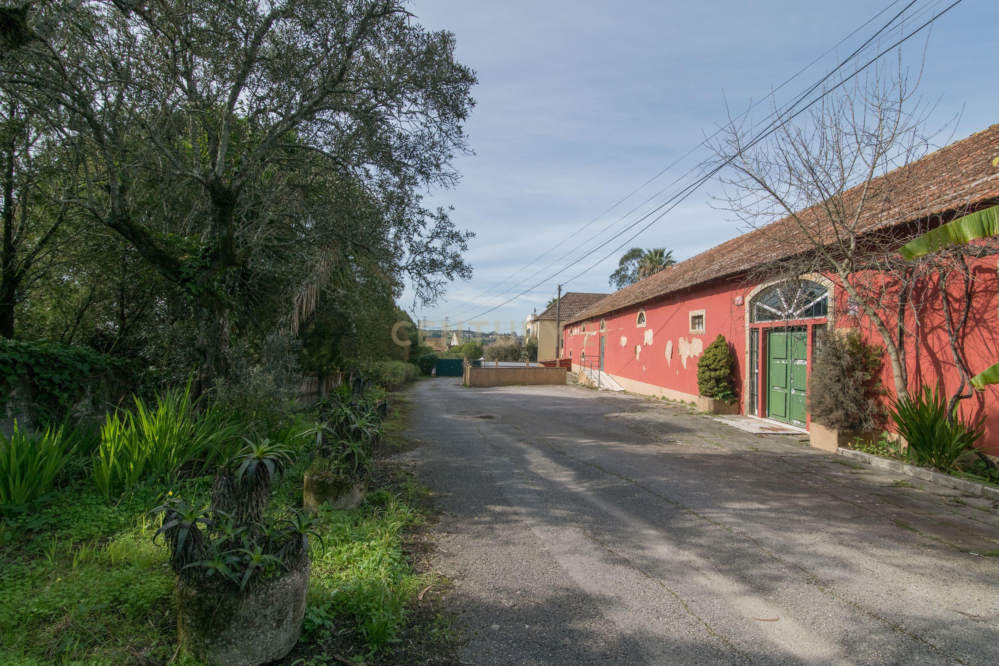Quinta do Bretão – Um Paraíso no Campo às Portas da Cidade - Image 14