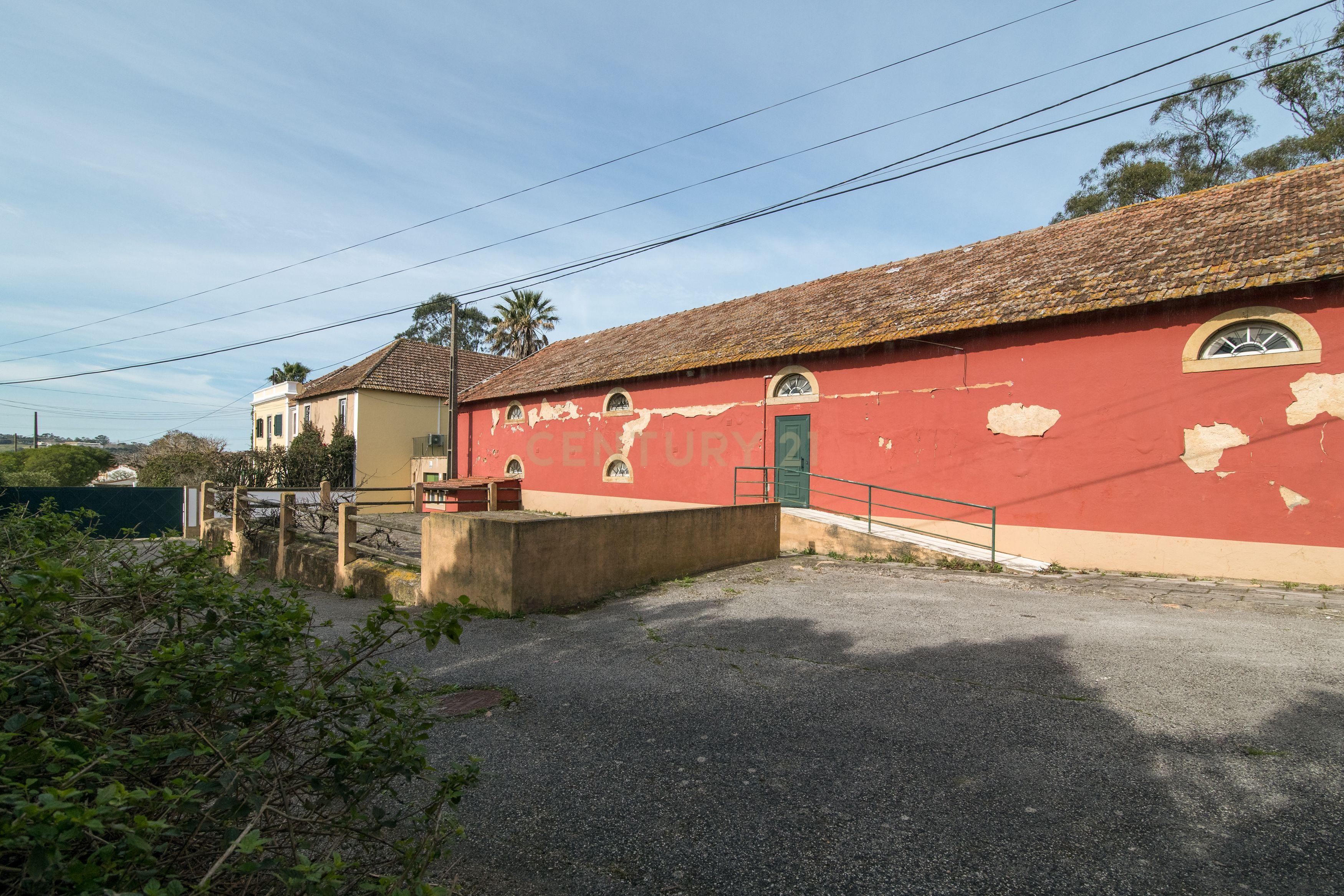 Quinta do Bretão – Um Paraíso no Campo às Portas da Cidade - Image 22