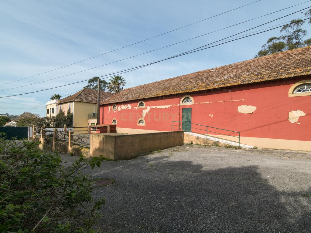 Quinta do Bretão – Um Paraíso no Campo às Portas da Cidade - Image 22