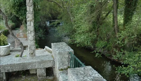 Quinta em Gouveia, com 4,4ha, para Venda - Image 9