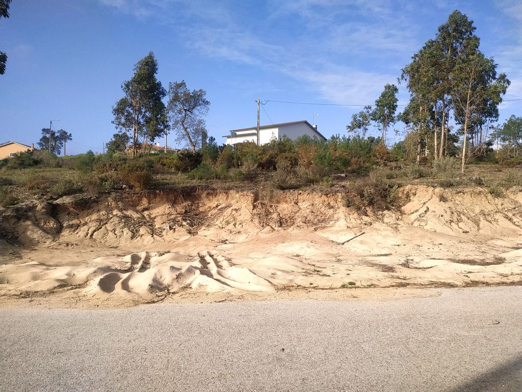 Terreno 1880m2 || Viabilidade para construção de moradias || Amor - Leiria - Image 6