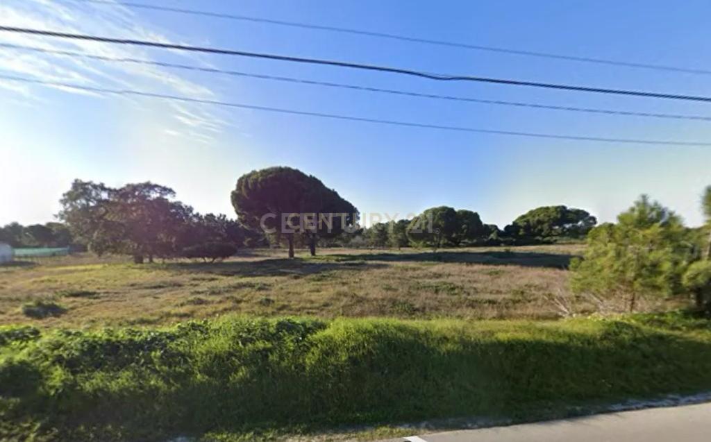 Terreno com 5000m2 na zona da Aldeia do Meco / Sesimbra - Image 8