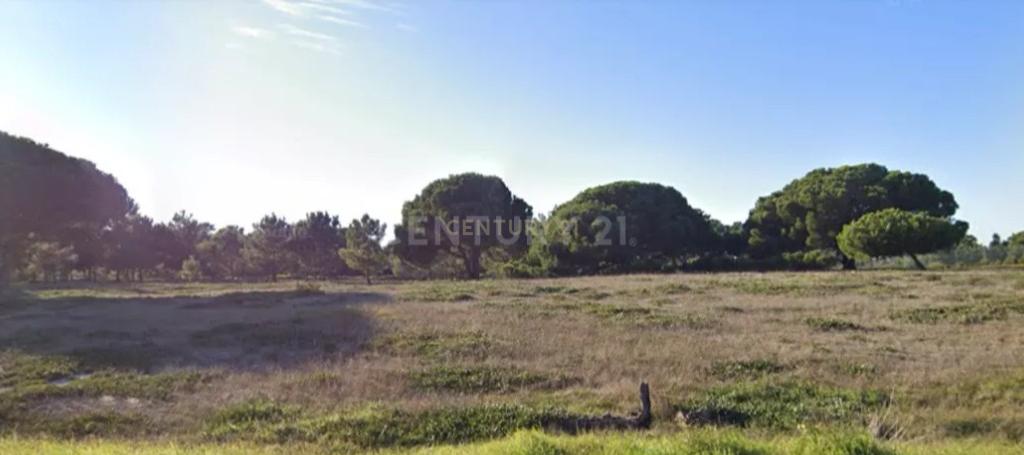 Terreno com 5000m2 na zona da Aldeia do Meco / Sesimbra - Image 9