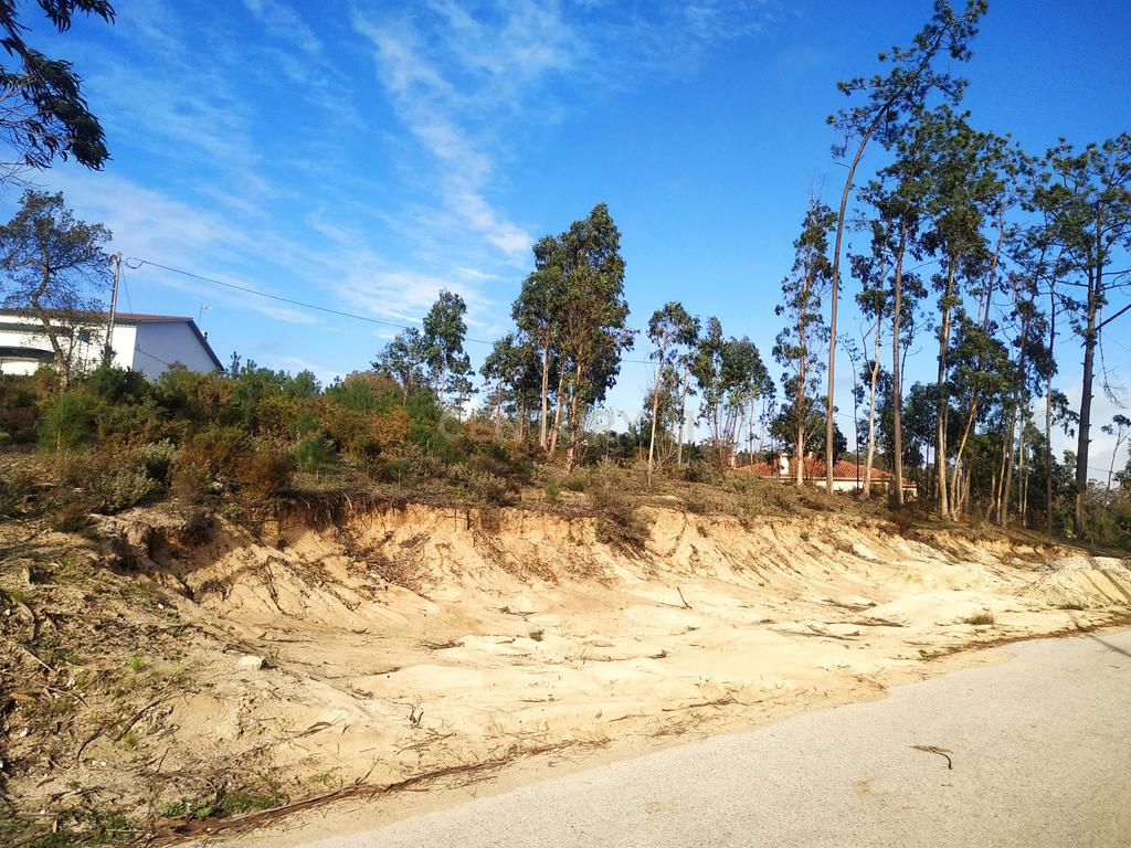Terreno 1880m2 || Viabilidade para construção de moradias || Amor - Leiria - Image 7