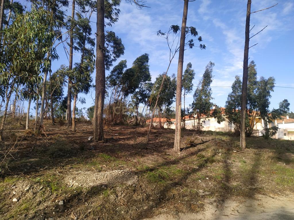 Terreno 1880m2 || Viabilidade para construção de moradias || Amor - Leiria - Image 5