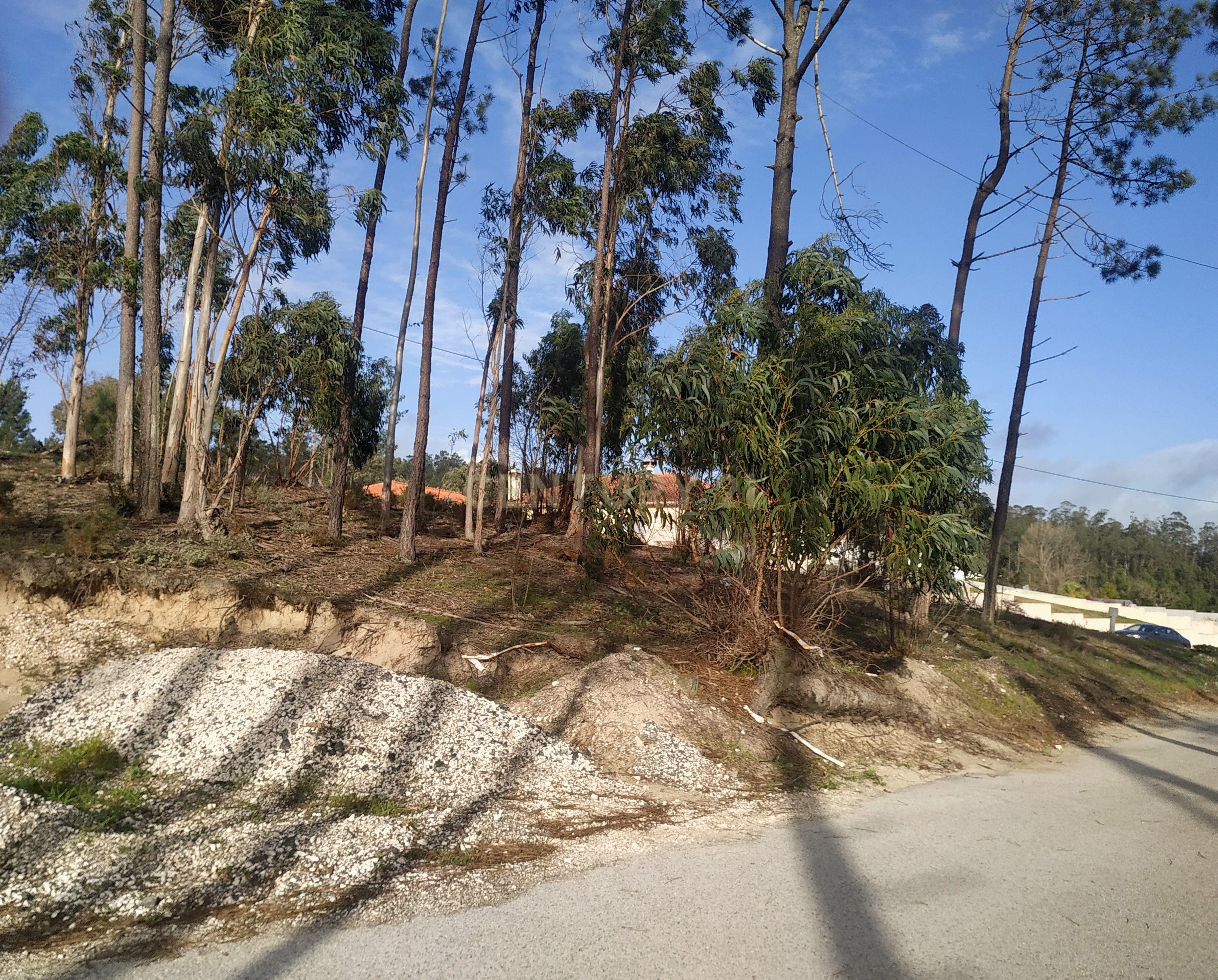 Terreno 1880m2 || Viabilidade para construção de moradias || Amor - Leiria - Image 8