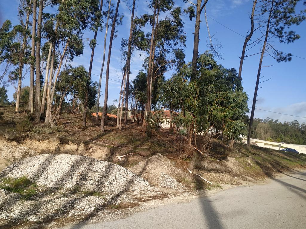 Terreno 1880m2 || Viabilidade para construção de moradias || Amor - Leiria - Image 8