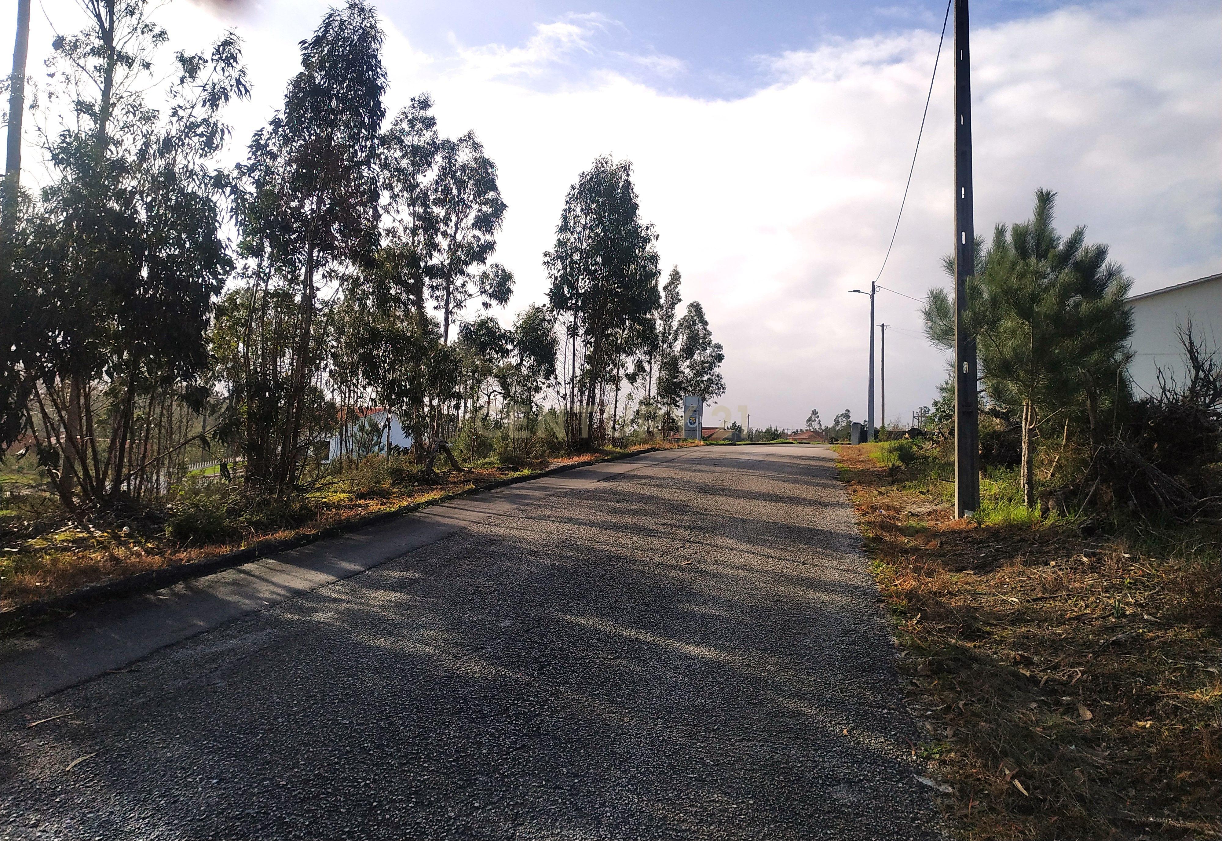 Terreno 1880m2 || Viabilidade para construção de moradias || Amor - Leiria - Image 4